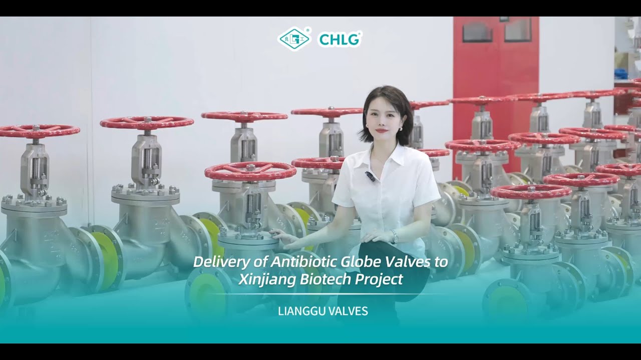 Pharmaceutical-Grade Valves Delivered! Xinjiang Biotech Base Secured with Precision