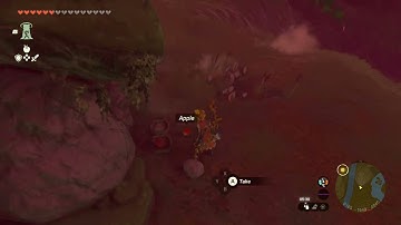 [DAY 674] of finding one korok seed in TotK everyday until we get them all