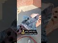 الجزء ٤ اول انتاج ادينا بنتعلم اكسبلور ترند