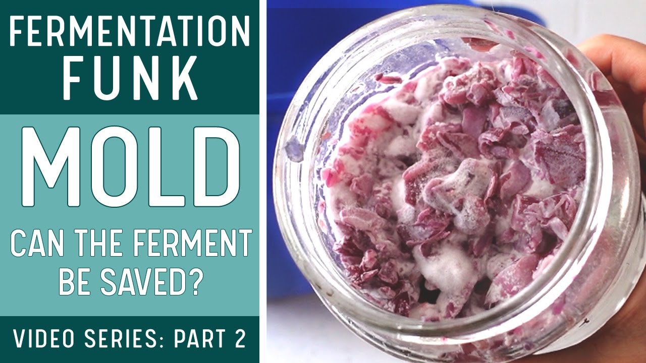 MOLD on FERMENTED VEGETABLES (Is it safe? How to remove it with examples)