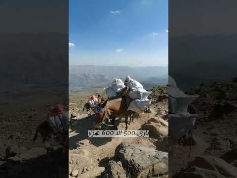 با روزی ۵۰ تومن برو دماوند تجربه و هزینه واقعی صعود
