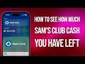 How To Check Sams Club Cash Balance Easily: Guide!