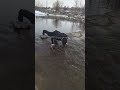 outdoors pushups near a lake #workout#pushups#motivation#nature#water#lake