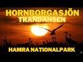 Hornborgasjön Trandansen and Hamra Nationalpark in SWEDEN