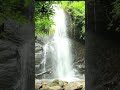 Calming Waterfall Sounds for Relaxation 🌊 | ASMR | 60 Seconds of Nature Bliss #Shorts