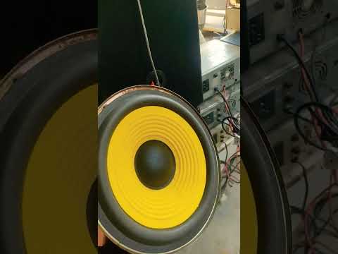 REVERSE BASS TEST