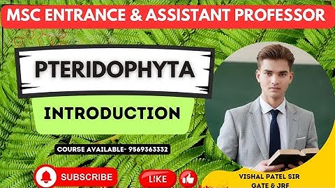 Pteridophyta Introduction | MSc Entrance and Assistant Professor 2025 | Course Available
