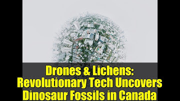 Drones & Lichens: Revolutionary Tech Uncovers Dinosaur Fossils in Canada