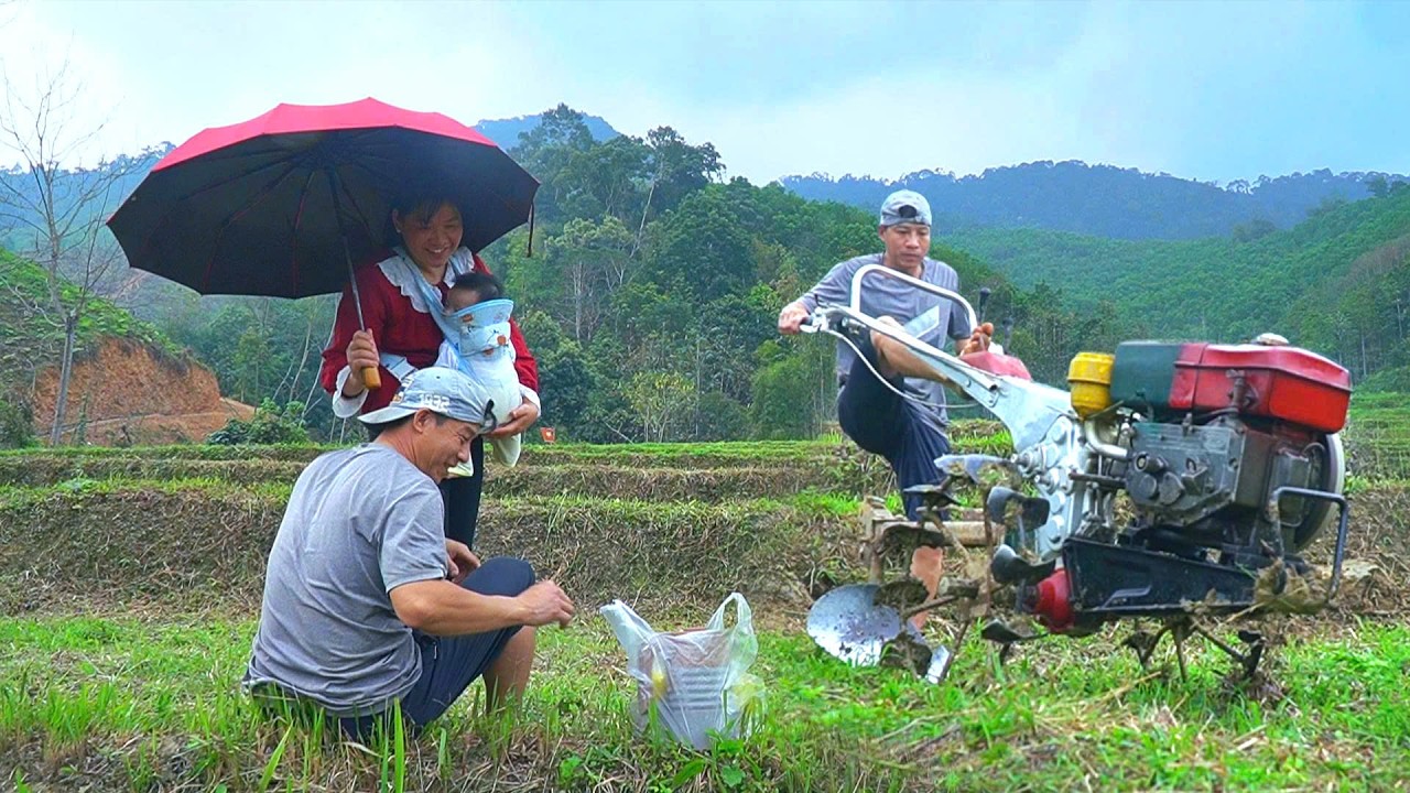 A peaceful corner in the fields: DAU plows the fields, repairs the ponds and builds a better future.