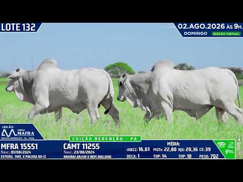 LOTE 132