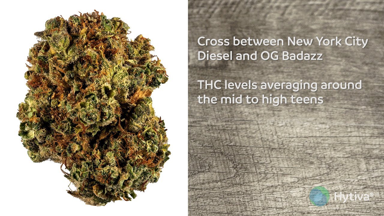 Strain Review: Fuel OG