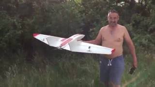 Ritewing Drak by Styroman ;)
