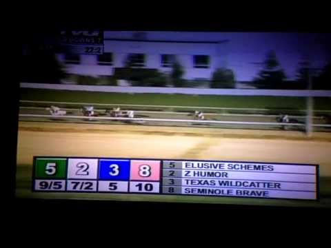 funniest-horse-racing-call-of-all-time!!!