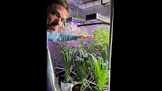 Herban Garden is live!
