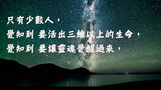 心靈慧談 [肆] 010 「修行的如牛毛，成道的如牛角」