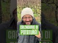 Le potature di DICEMBRE: ecco cosa puoi potare adesso