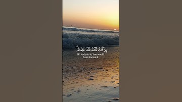 سورة المائدة الاية 115 / 116