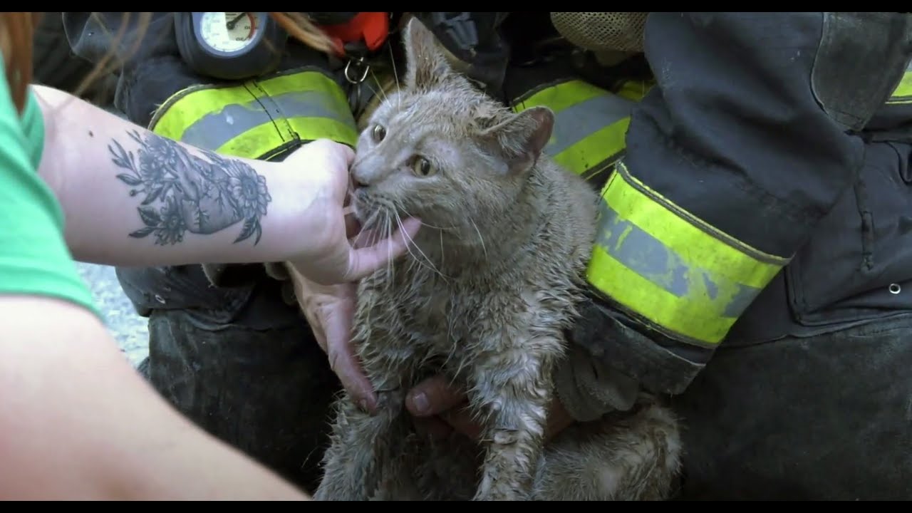 Stringers Live 🔴 Pets & Residents Rescued from 2-Alarm House Fire ...