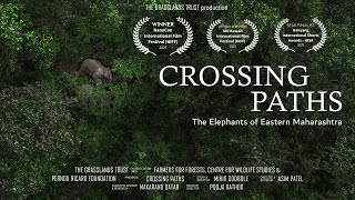 Crossing Paths | The Elephants of Eastern Maharashtra 🐘🌿