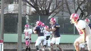 日本大学　アメフト部　フェニックス アメフト - 日大アメフト部「フェニックス」の1年 | 4years