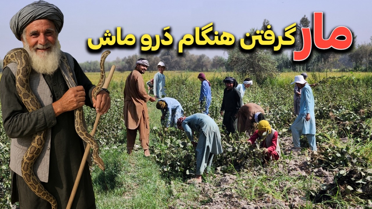 سفر به زیباترین و دورترین منطقه تخار ، دیدار و قصه با دهاقین و روستایی های طبع‌خوش || دهکده ما