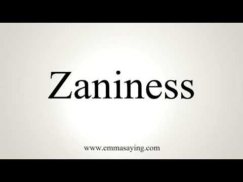 How To Pronounce Zaniness