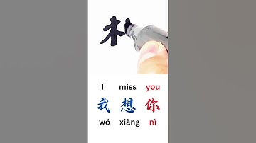How to Write I MISS YOU in Chinese Language | Wo Xiang Ni in Chinese Characters Handwriting