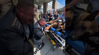 This soldier's final goodbye to his K9 partner is heartbreaking 💔