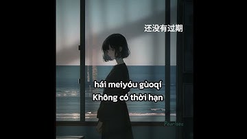 Có thể hay không - Quý Ngạn Lâm (Cover) | Lyrics + Vietsub (tiktok) voice nữ 可不可以 - 季彥霖