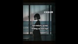 Có thể hay không - Quý Ngạn Lâm (Cover) | Lyrics   Vietsub (tiktok) voice nữ 可不可以 - 季彥霖