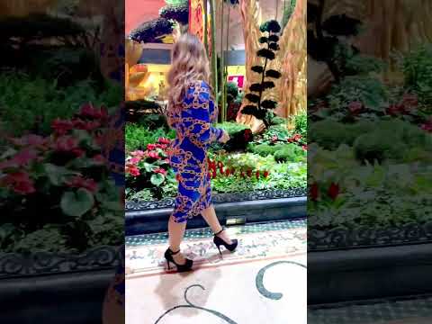 el casino está ll3no vamos aver como nos va esta noche