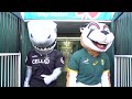 2017 | Sharkie And Bokkie Team Up