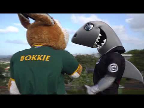 Sharkie and Bokkie