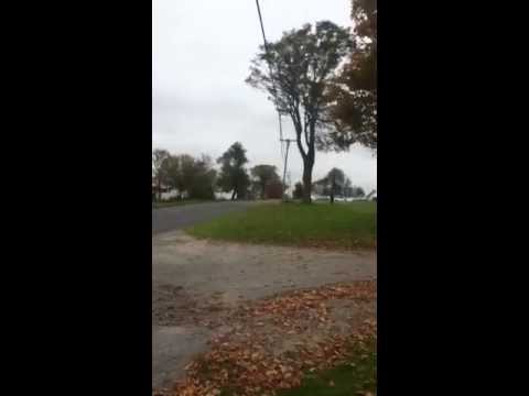 Manco Rattler Test Run with Predator Engine - YouTube