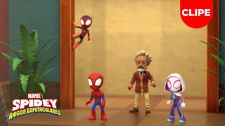 O Gatinho Maltês | Curta | Spidey e Seus Amigos Espetaculares