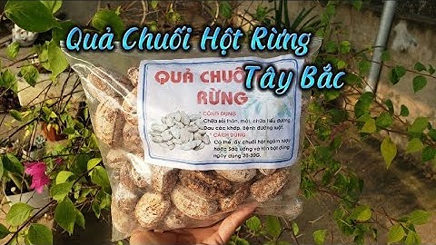 Cách Ngâm Rượu Chuối Hột Rừng, Tốt cho Xương Khớp