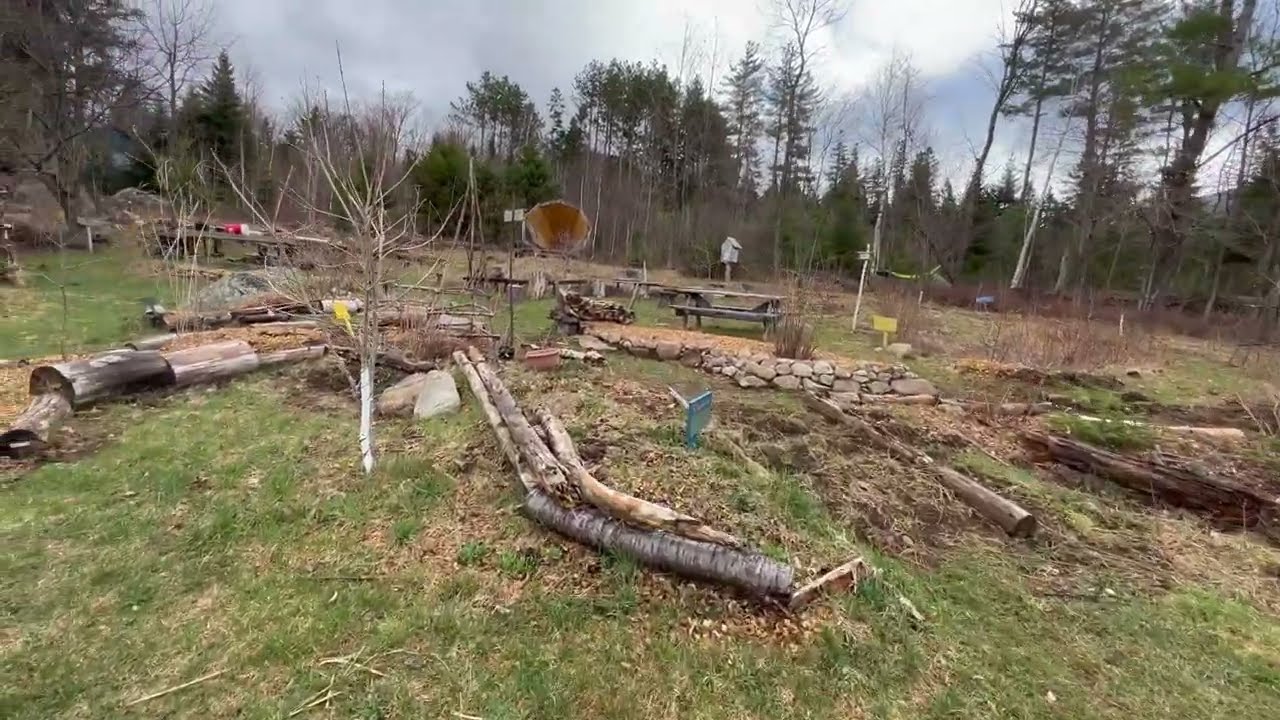 Cultivating Ramps in the Forest Garden Edible Landscapes & Community