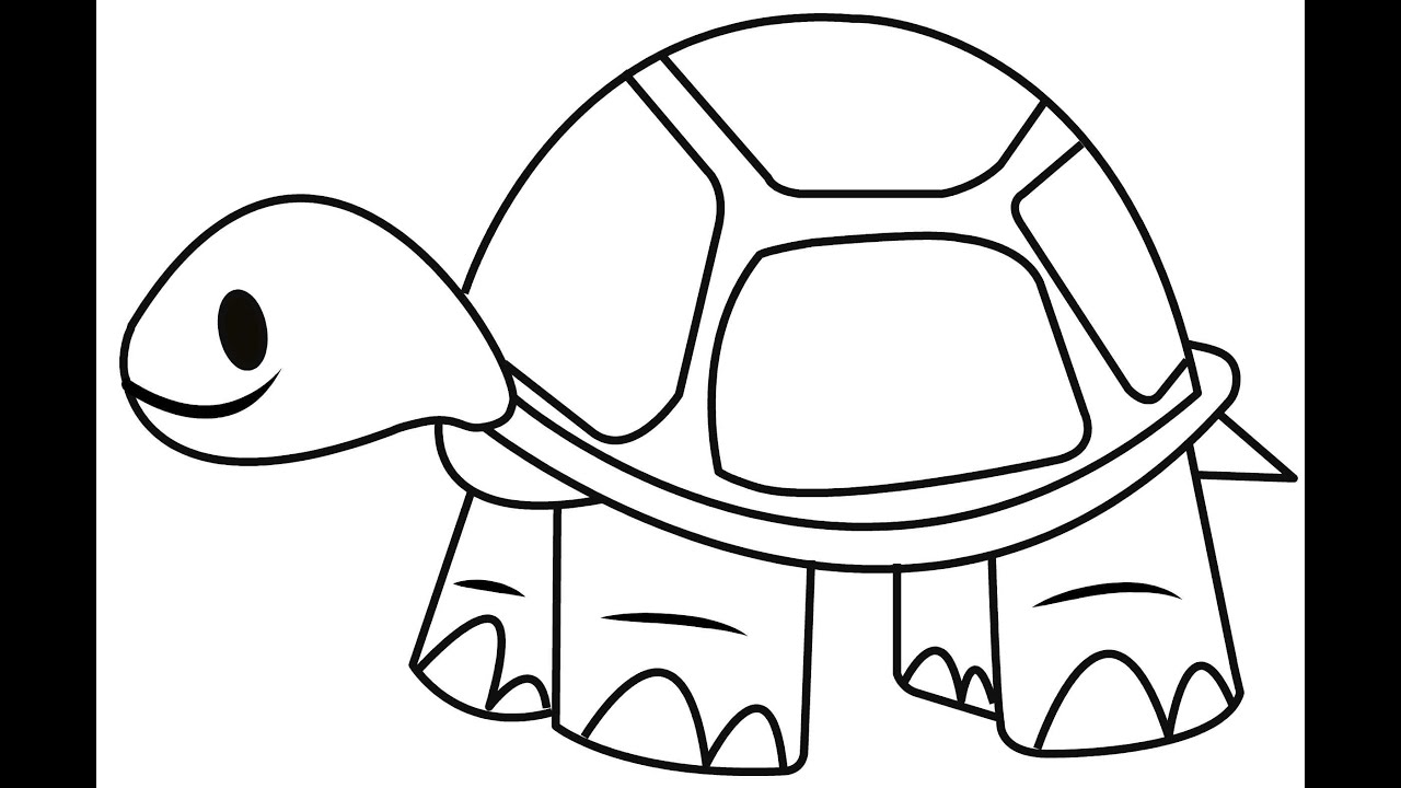 How To Draw A Tortoise Easy and Simple Steps YouTube