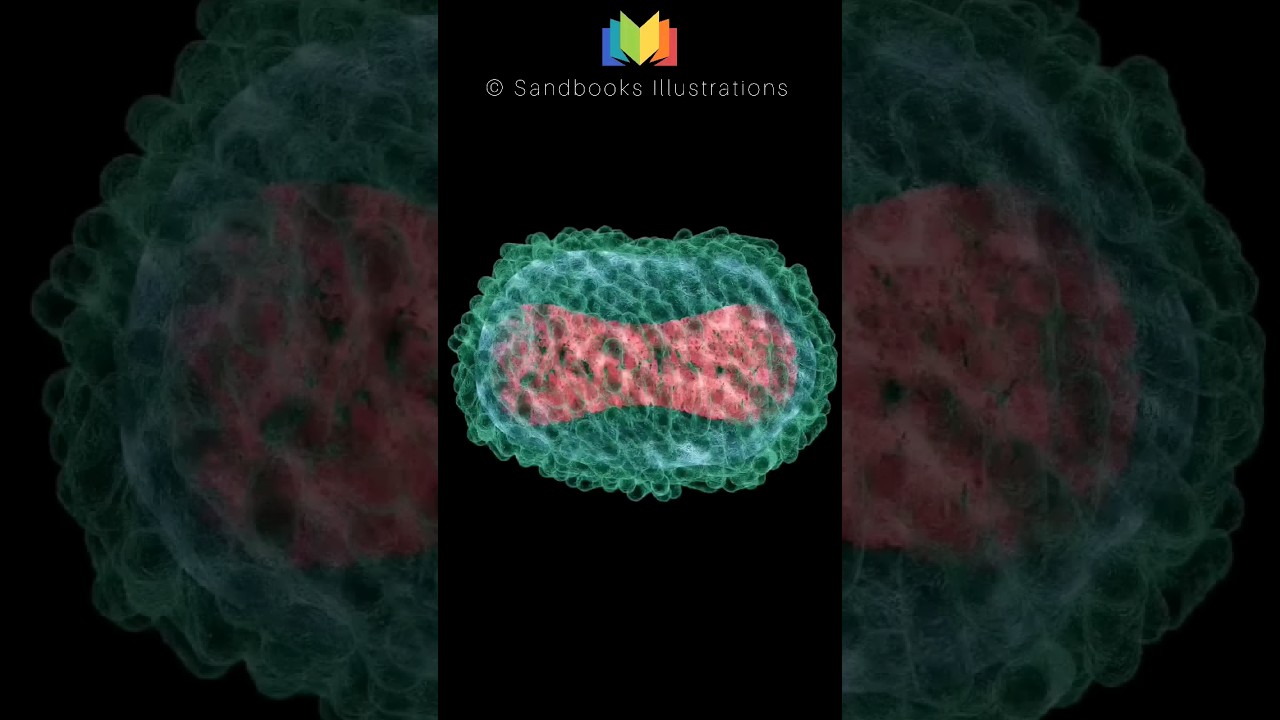 Monkeypox Virus Unleashed In Seconds!