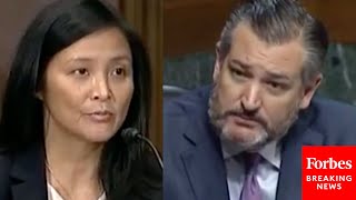 'I'm Going To Try One More Time...': Ted Cruz Has Tense Questioning Of Judicial Nom Jennifer Sung