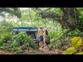 OFF-GRiD PARADiSE 🐬Swimming with WILD DOLPHINS | Van Life MAUI