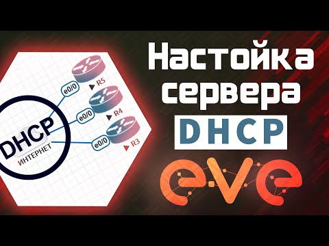 EVE-NG - DHCP сервер на Ubutu для объектов рабочего пространства / Настройка Eve-ng