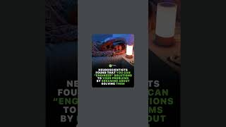 "Engineer Solutions in Your Sleep: HowDreaming Helps Solve Problems | NeuroscienceInsights"