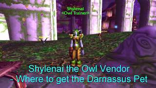 Shylenai the Owl Vendor - Where to get the Darnassus Pet - WOW Classic