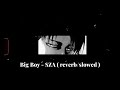 Big Boy SZA Reverb Slowed