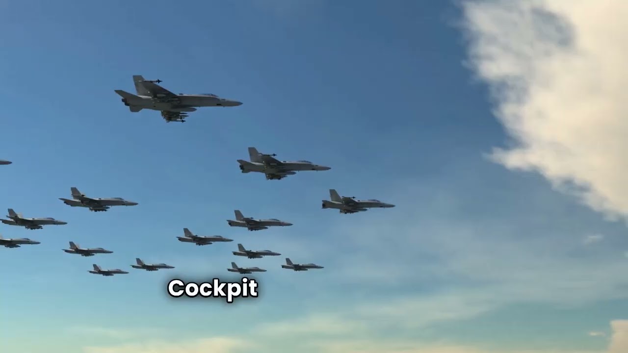 👉 НЛО Tic Tac: легендарная встреча Дэвида Фрейвора с военно-морским флотом