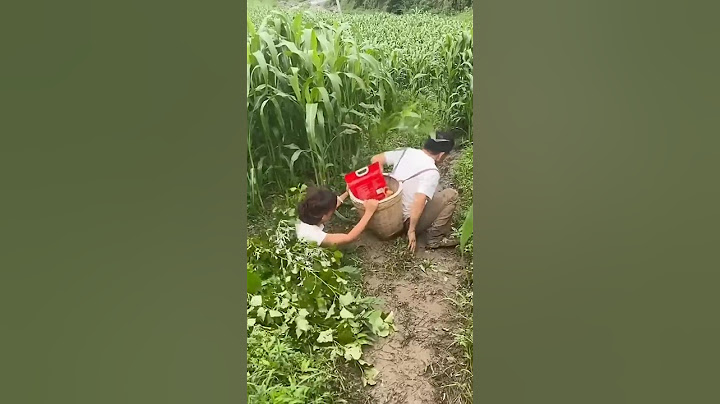Funny Moments 여자가 남자를 이겼다 😂 #funny #fun #comedy #장난
