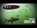 FLY TV - Tjuonajokk Grayling - Epic Dry Fly Fishing in the Swedish Mountains