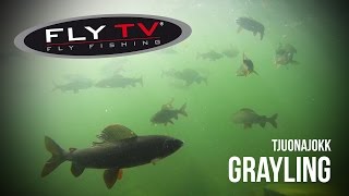 FLY TV  Tjuonajokk Grayling  Epic Dry Fly Fishing in the Swedish Mountains