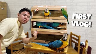 UNBAKSING MGA MACAW!! ANIM NA MACAW NATIN!?